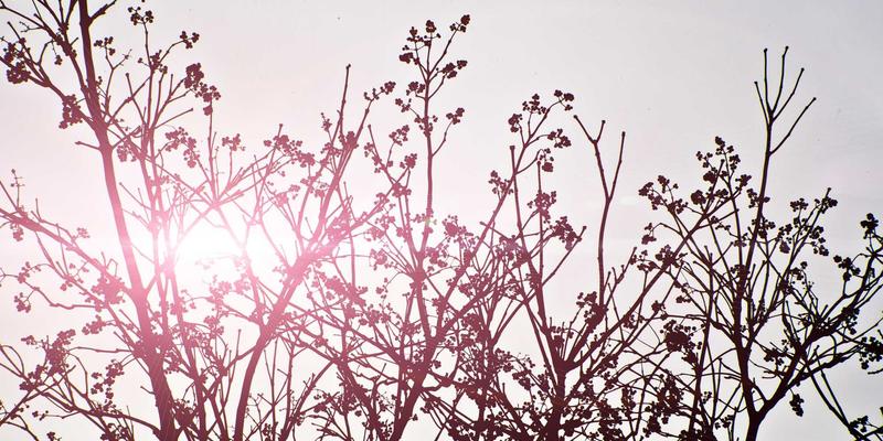 广西石材68：匠心工艺与定制雕刻的艺术融合