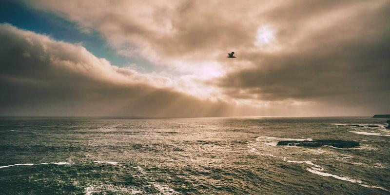 广西石材发展：定制石材、工艺与雕刻艺术的融合创新