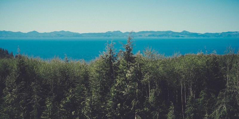 广西石材外贸出口新趋势：从大宗原料到石材艺术与定制工艺的转型