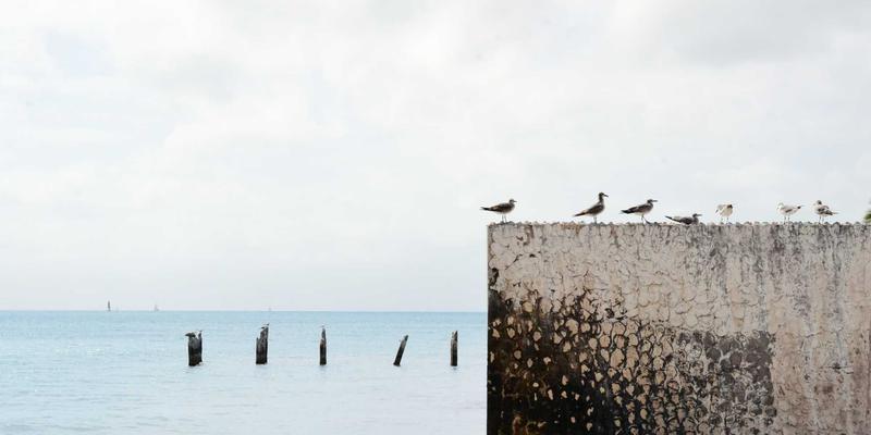 广西石材:建筑石材与定制石材的卓越之选