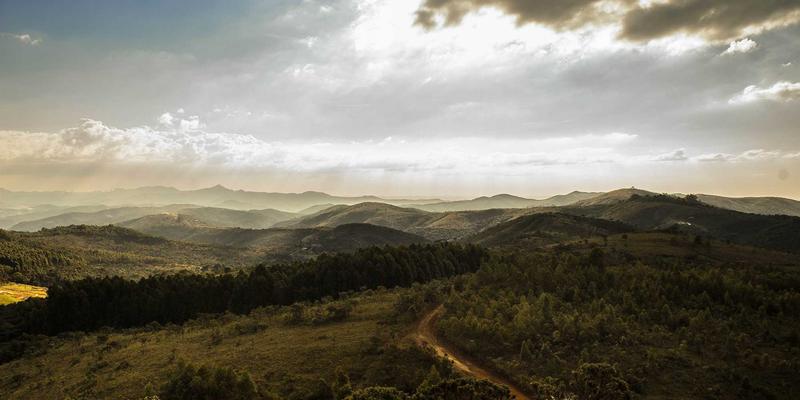 广西石材攻略:探寻石材艺术之美,解锁定制与雕刻的无限可能