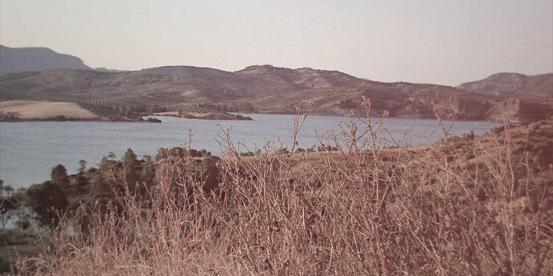 广西石材矿山生态修复实践：从开采到复绿的可持续发展之路