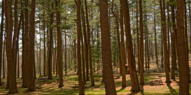 广西石材艺术：当传统石材工艺邂逅现代环保标准，如何实现艺术品加工的可持续发展？