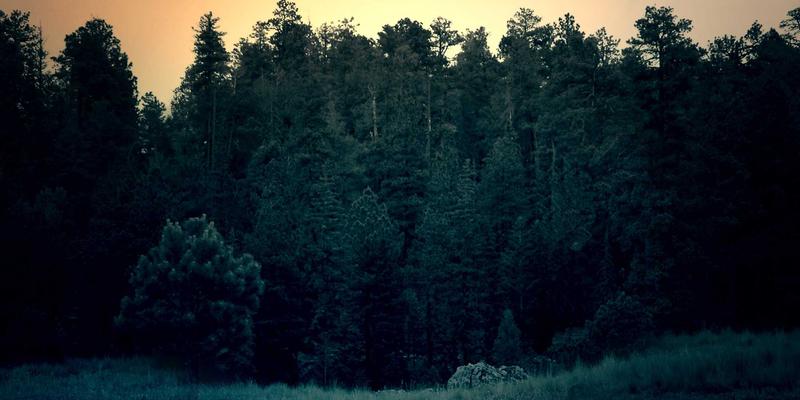 石材艺术与工艺的工程典范：广西石材在水利与海岸防护中的定制化应用与耐久性解析