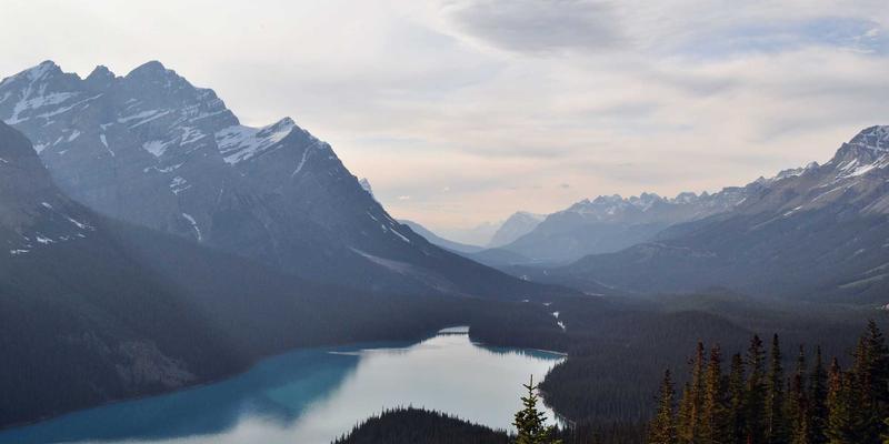 石材艺术新篇章：广西石材废料如何通过先进工艺变身环保建材